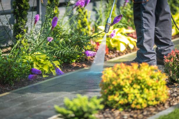 Best Fence Cleaning  in Kenvil, NJ